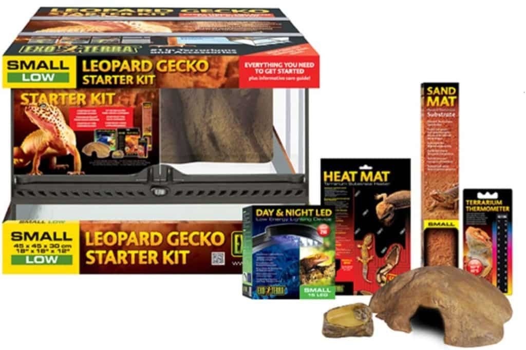 terrario gecko kit