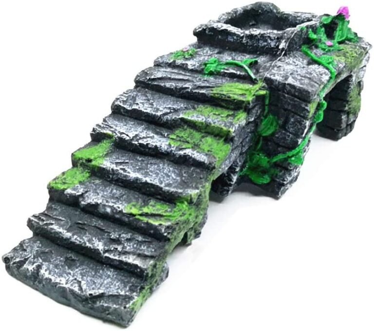 decoraci&oacute;n terrario geckos