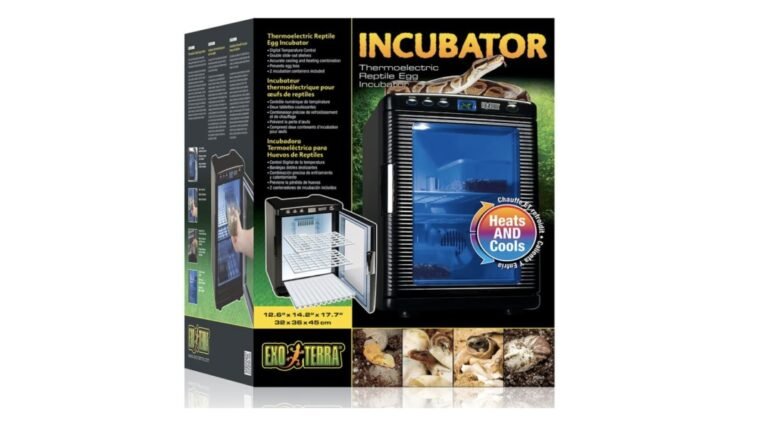 incubadora geckos